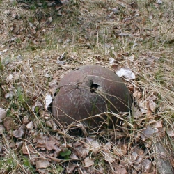 Травинка