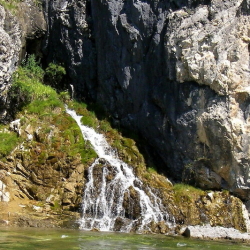 Саянский плоть