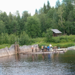 Здесь доят красную рыбу