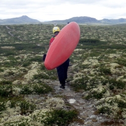 Last man on the Earth