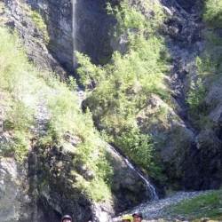 Секция Осень (Åseng)
