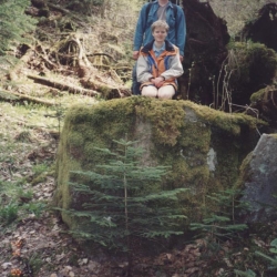 В лесах Кавказа