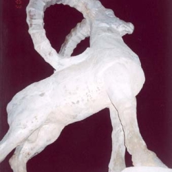 Козёл Кызыл-Арт