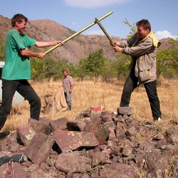 Антистапель