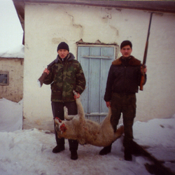 Волчара
