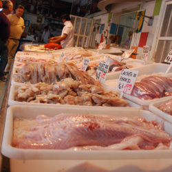 Рынок морепродуктов в порту 