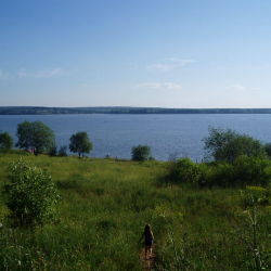 Кама