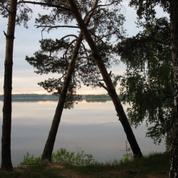 Дверь в лето