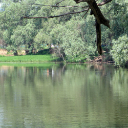 Водный участок трассы триатлона