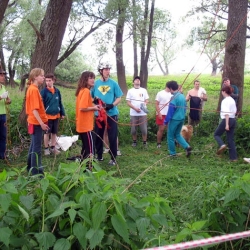 Висячий садовник