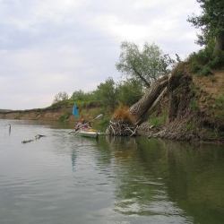Жертва весеннего разлива