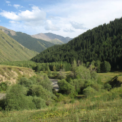 Вблизи Каинды