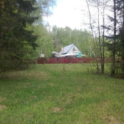 Самаль в глуши