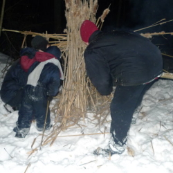 Камышовая баба